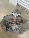 Vale Forever Varsity Zip