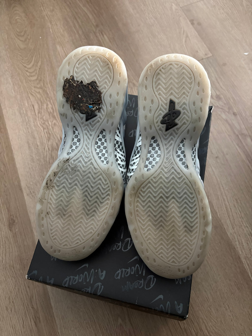Size 9.5 - Nike Foamposite One Dream A World Grey