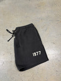 Size XL - Essential 1977 Shorts
