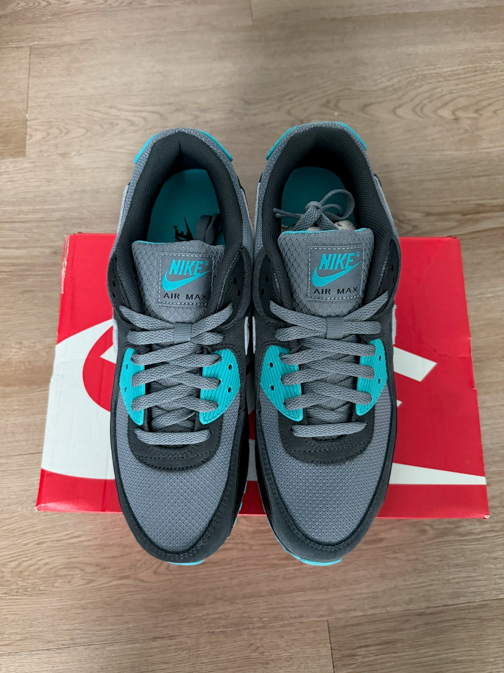 Size 11 - Nike Air Max 90 Cool Grey Dusty Cactus Black Wolf Grey