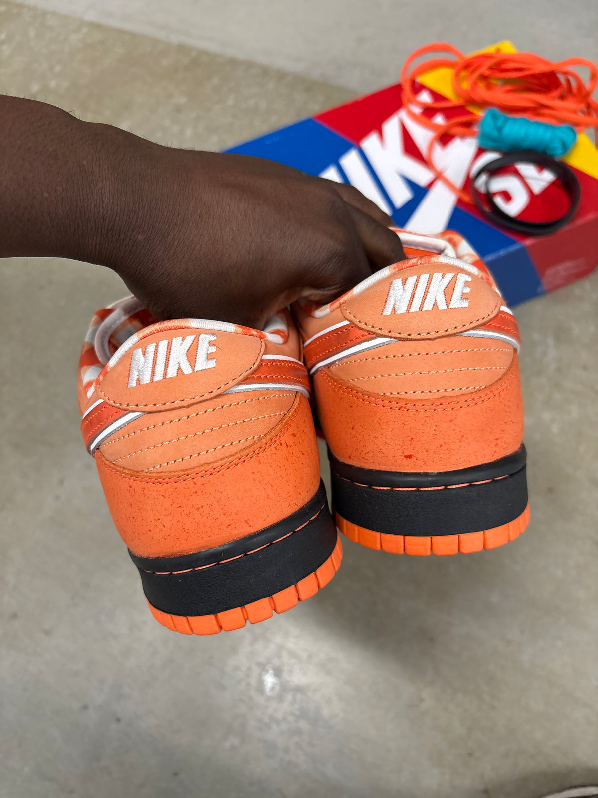 Size 12 - Nike Sb Dunk Low Concepts Orange Lobster