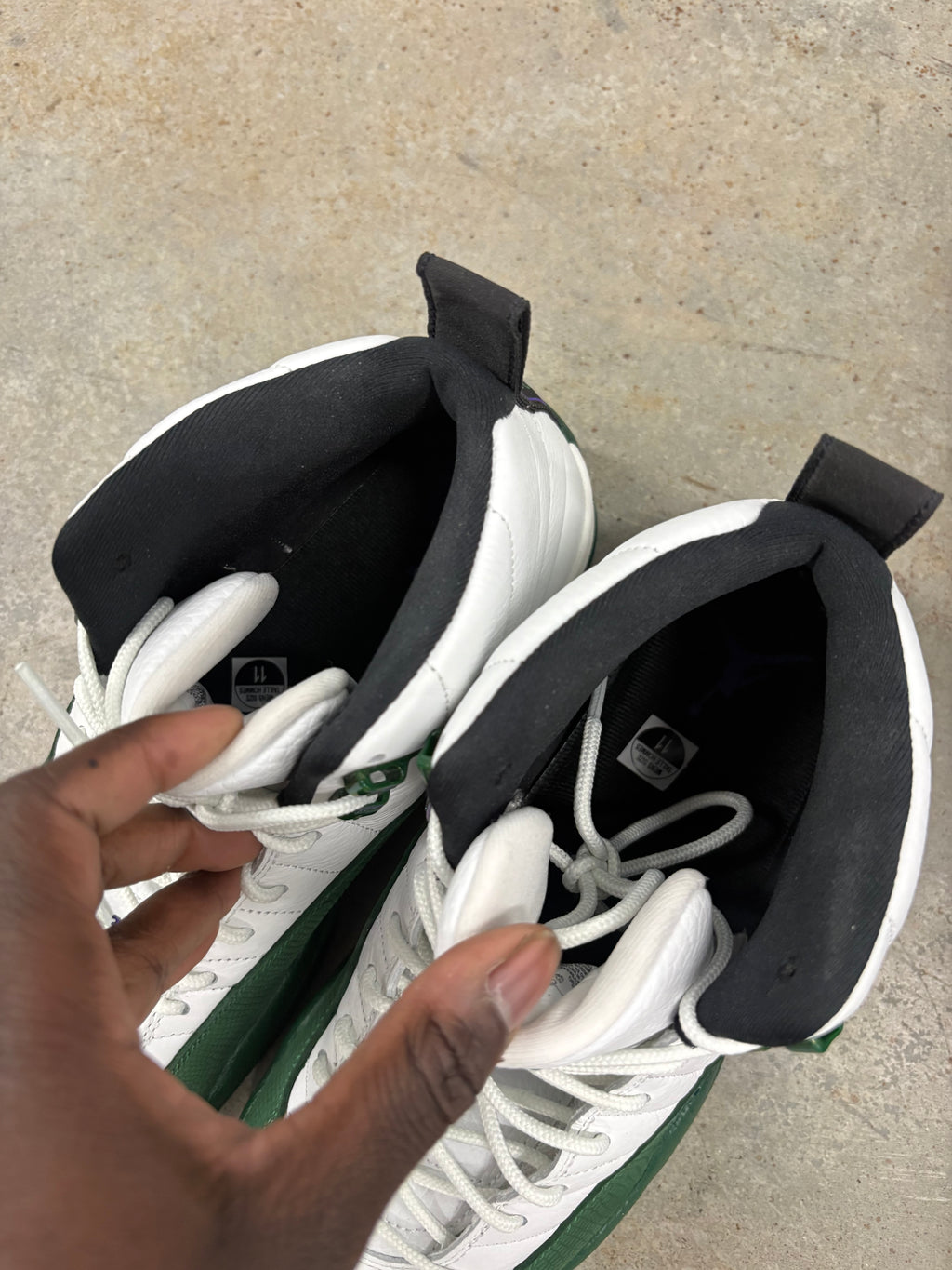 Size 11 - Jordan 12 Retro Bucks