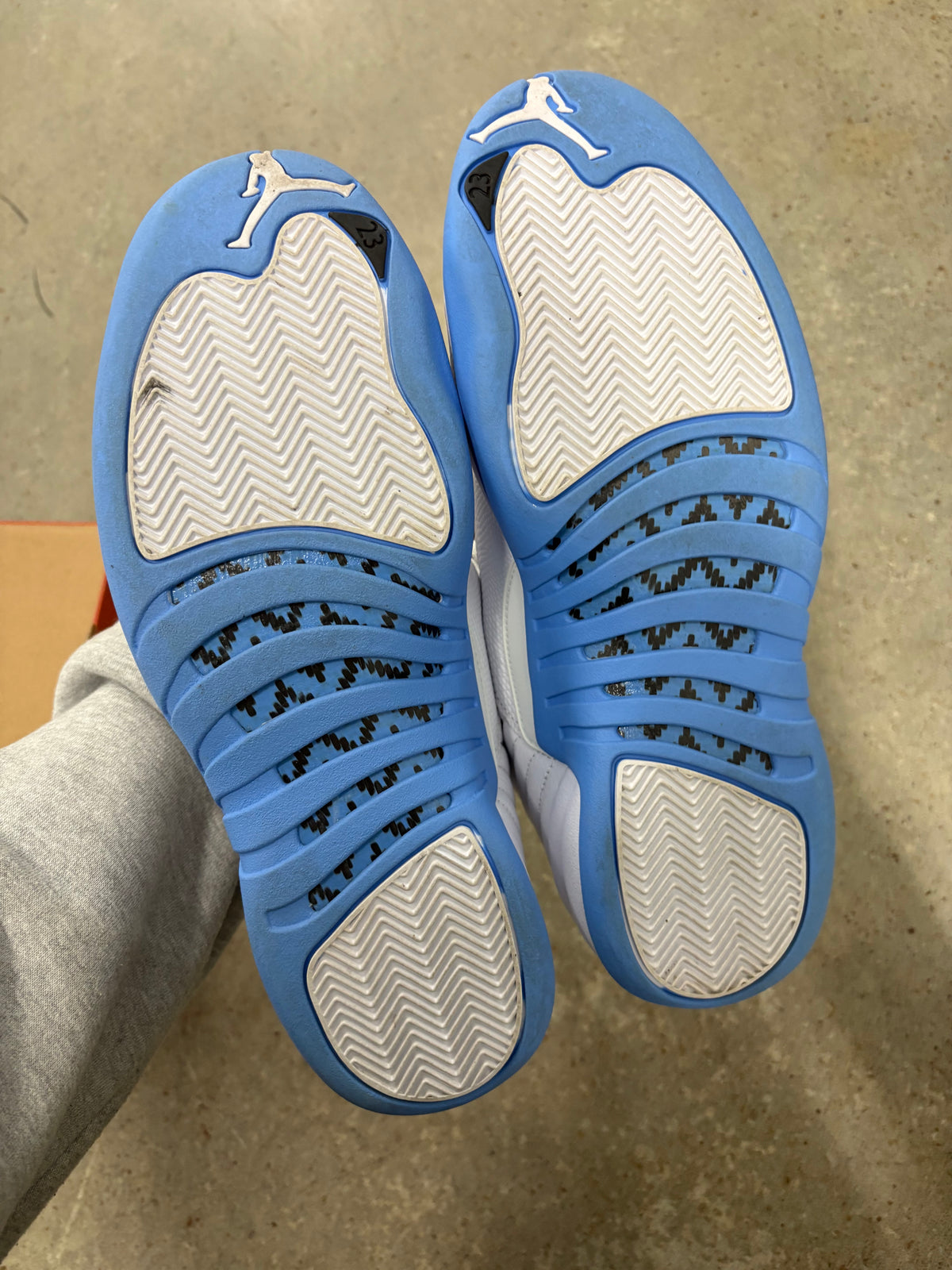 Size 11 - Jordan 12 Retro Melo
